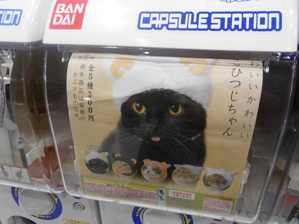 dscn1427