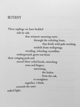 Botany by Wendy Chin-Tanner