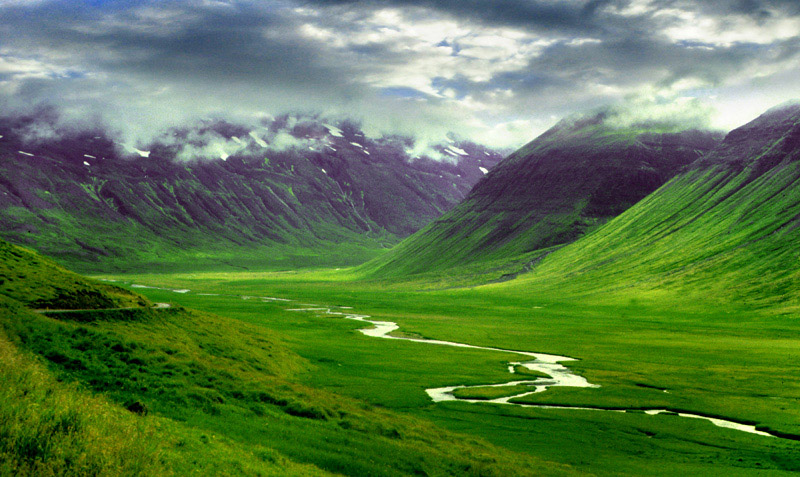 iceland.jpg