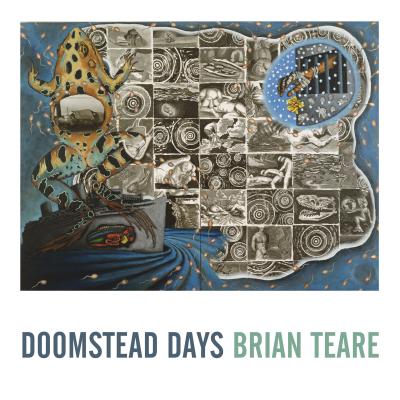 Cover image of Doomstead Days