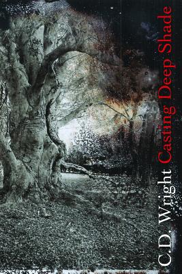 Cover image of Casting Deep Shade